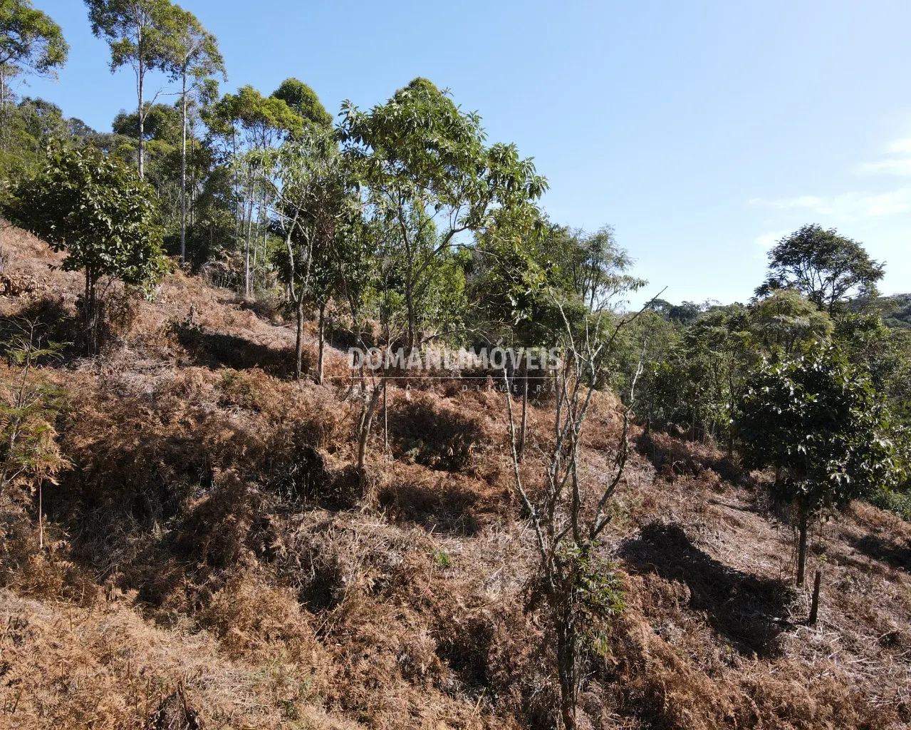 Terreno à venda de 7.300 m² em Santo Antônio do Pinhal, SP, Brasil