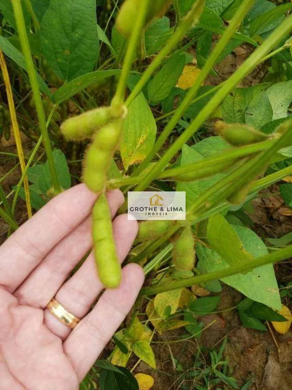 Fazenda à venda de 8.817 ha em Paranatinga, MT, Brasil