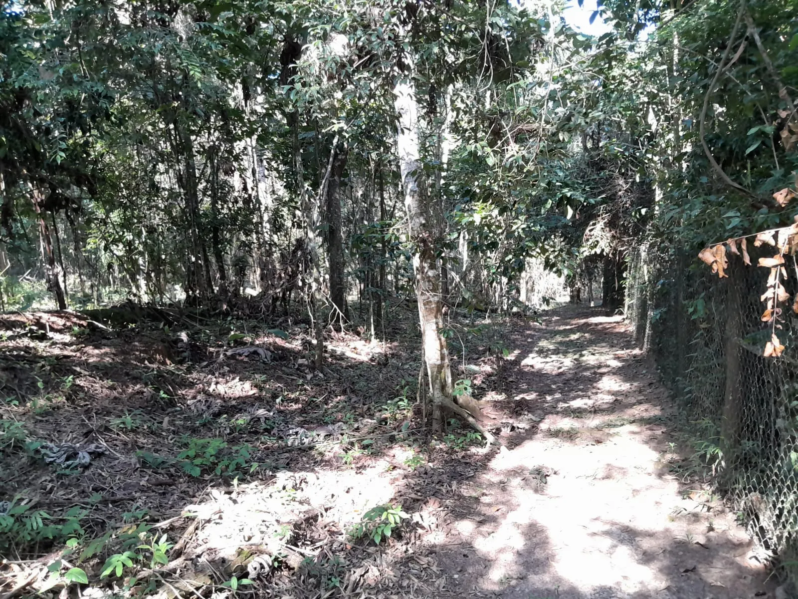 Chácara à venda de 2 ha em Paraibuna, SP, Brasil