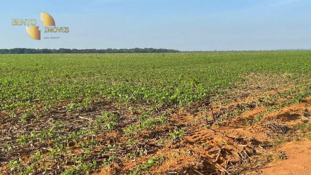 Fazenda à venda de 3.600 ha em Ipiranga do Norte, MT, Brasil