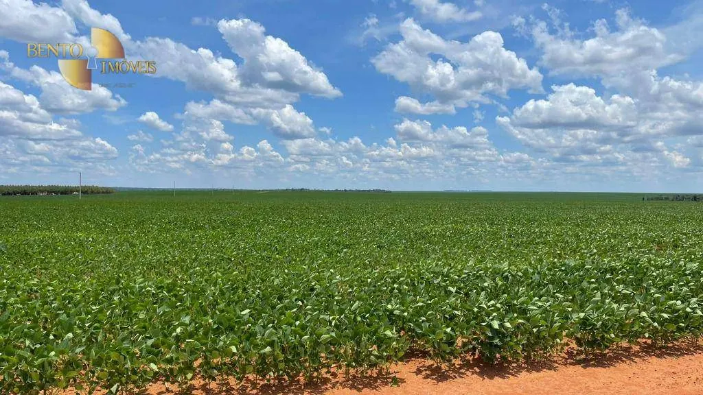 Fazenda à venda de 3.600 ha em Ipiranga do Norte, MT, Brasil