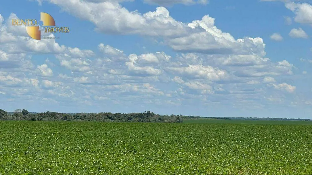 Fazenda à venda de 3.600 ha em Ipiranga do Norte, MT, Brasil