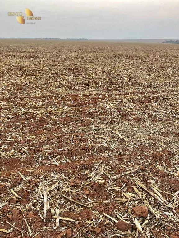 Fazenda à venda de 3.600 ha em Ipiranga do Norte, MT, Brasil