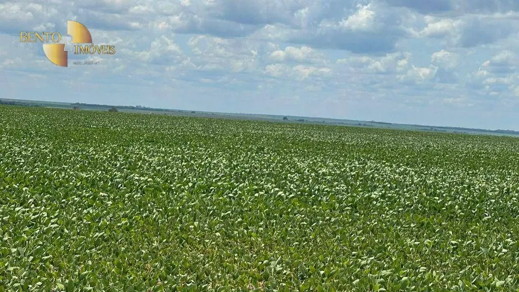 Fazenda à venda de 3.600 ha em Ipiranga do Norte, MT, Brasil