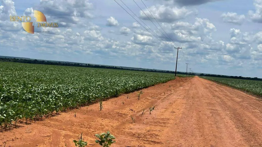 Fazenda à venda de 3.600 ha em Ipiranga do Norte, MT, Brasil