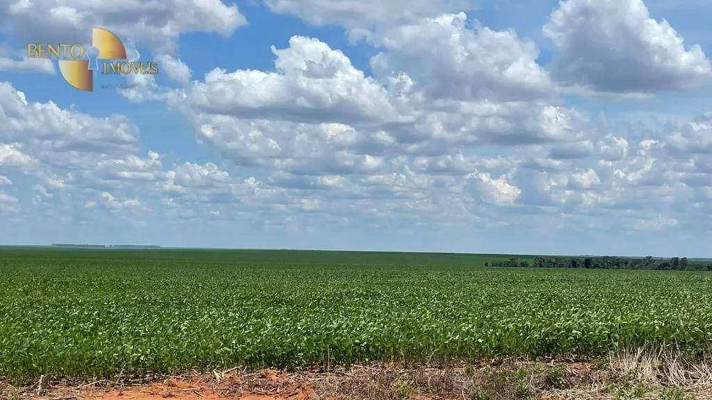 Fazenda à venda de 3.600 ha em Ipiranga do Norte, MT, Brasil