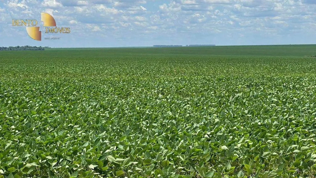 Fazenda à venda de 3.600 ha em Ipiranga do Norte, MT, Brasil