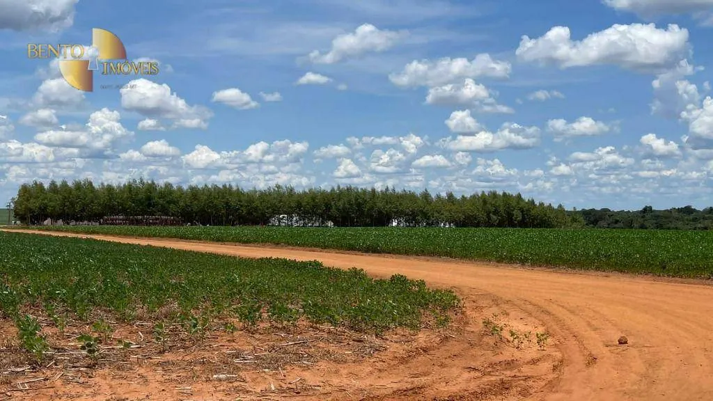 Fazenda à venda de 3.600 ha em Ipiranga do Norte, MT, Brasil