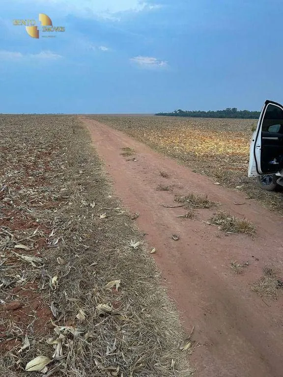 Fazenda à venda de 3.600 ha em Ipiranga do Norte, MT, Brasil