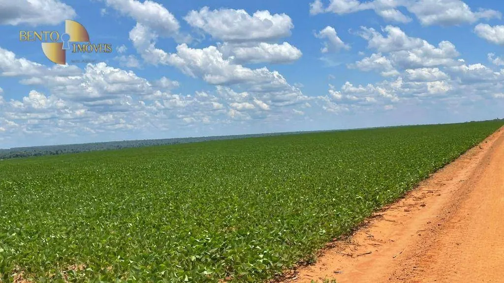 Fazenda à venda de 3.600 ha em Ipiranga do Norte, MT, Brasil