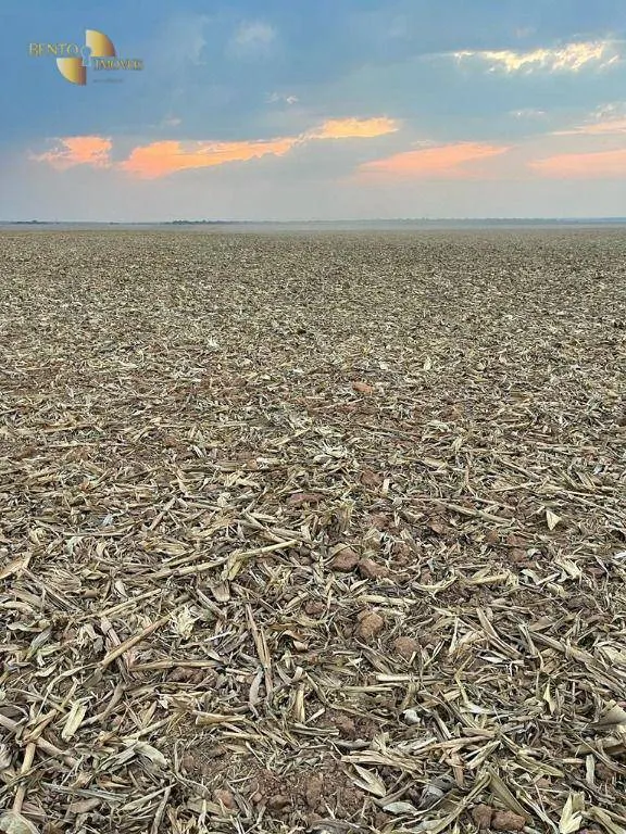Fazenda à venda de 3.600 ha em Ipiranga do Norte, MT, Brasil