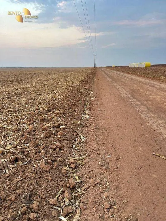Fazenda à venda de 3.600 ha em Ipiranga do Norte, MT, Brasil