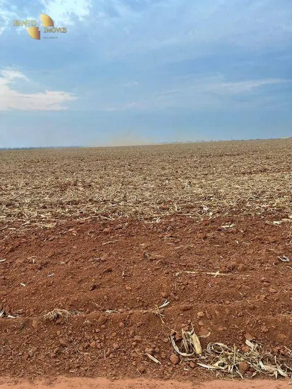 Fazenda à venda de 3.600 ha em Ipiranga do Norte, MT, Brasil