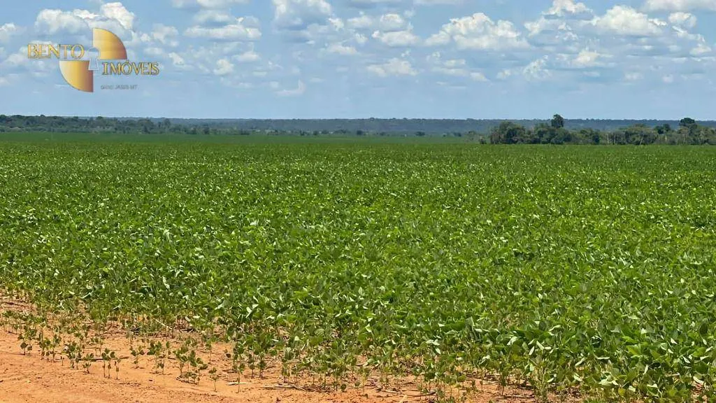 Fazenda à venda de 3.600 ha em Ipiranga do Norte, MT, Brasil