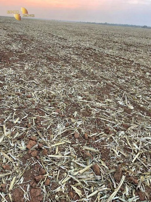 Fazenda à venda de 3.600 ha em Ipiranga do Norte, MT, Brasil