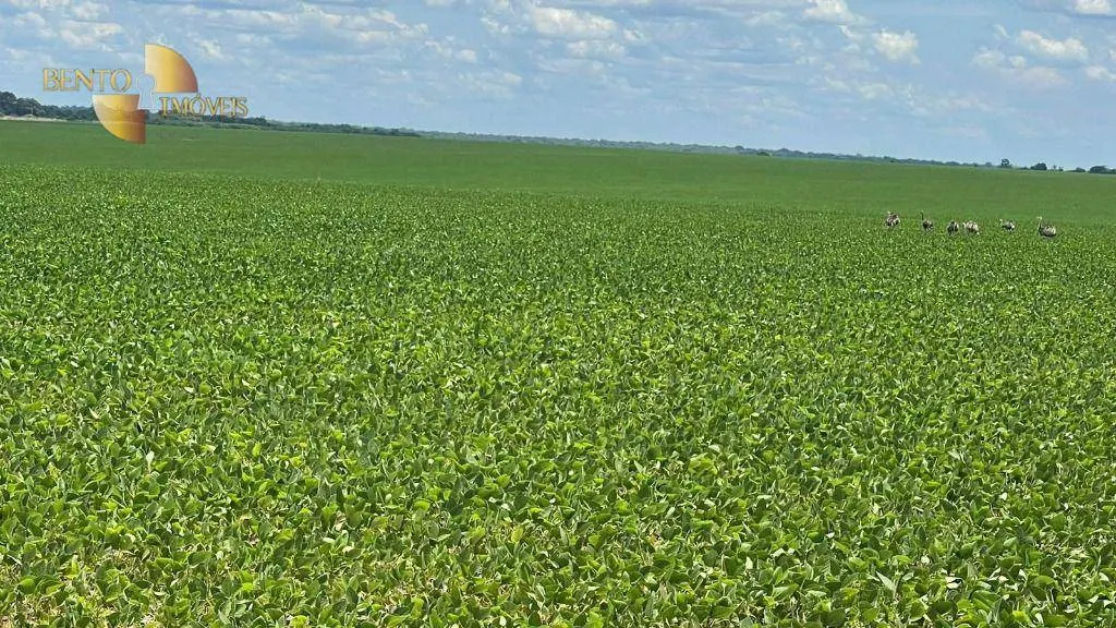 Fazenda à venda de 3.600 ha em Ipiranga do Norte, MT, Brasil