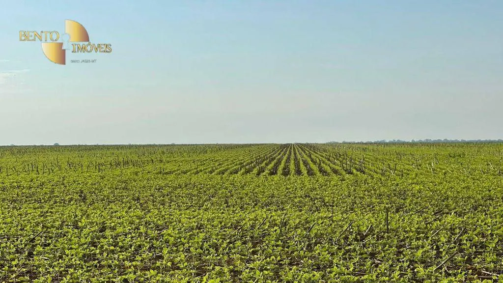 Fazenda à venda de 3.600 ha em Ipiranga do Norte, MT, Brasil