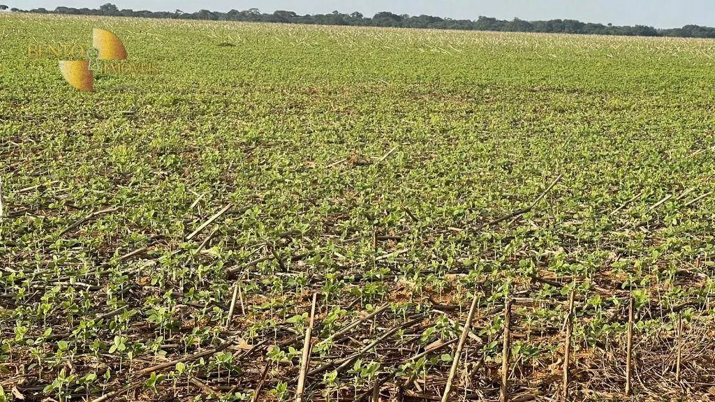 Fazenda à venda de 3.600 ha em Ipiranga do Norte, MT, Brasil