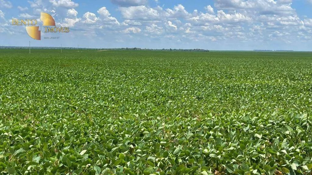 Fazenda à venda de 3.600 ha em Ipiranga do Norte, MT, Brasil