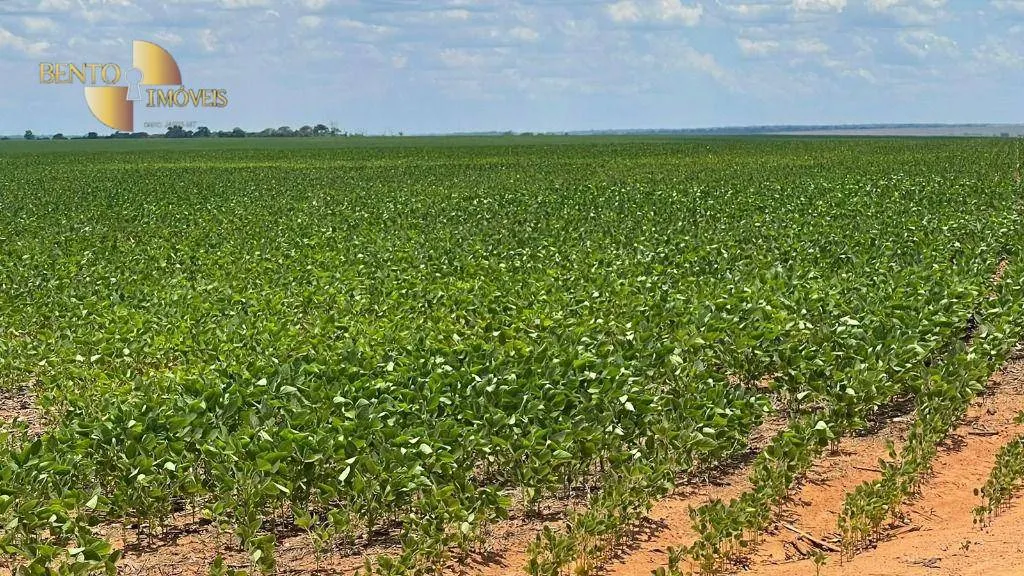 Fazenda à venda de 3.600 ha em Ipiranga do Norte, MT, Brasil
