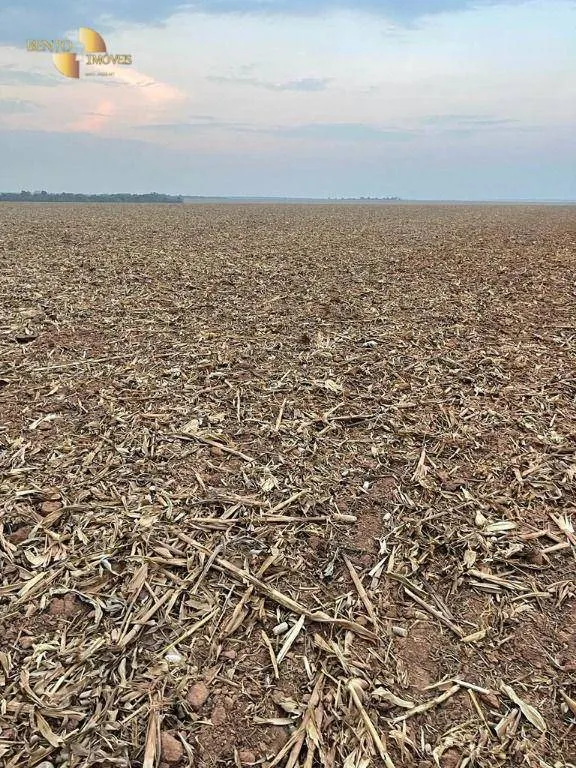 Fazenda à venda de 3.600 ha em Ipiranga do Norte, MT, Brasil