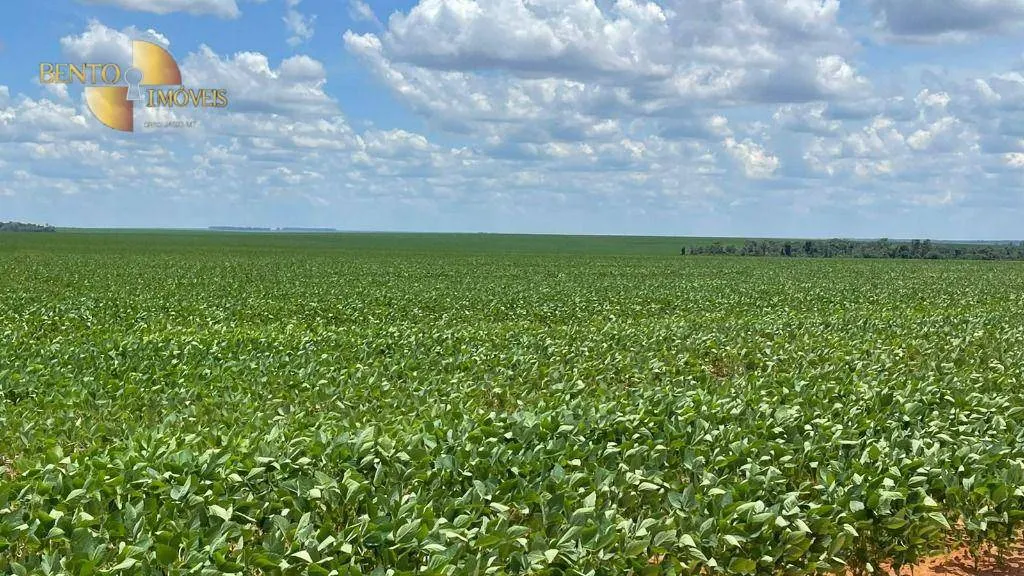 Fazenda à venda de 3.600 ha em Ipiranga do Norte, MT, Brasil