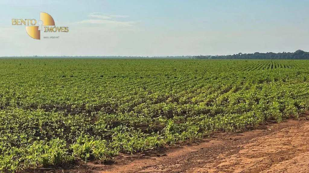 Fazenda à venda de 3.600 ha em Ipiranga do Norte, MT, Brasil