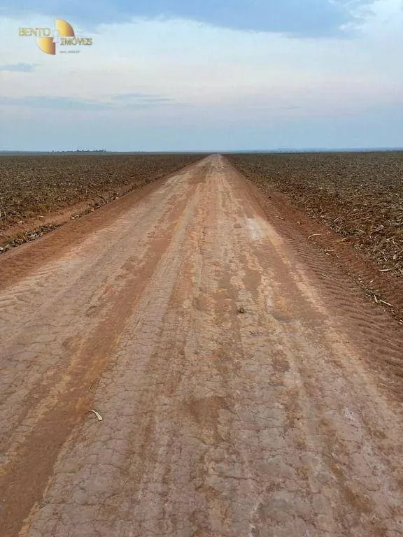 Fazenda à venda de 3.600 ha em Ipiranga do Norte, MT, Brasil