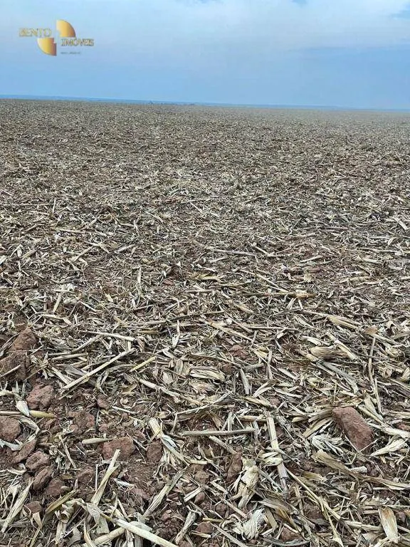 Fazenda à venda de 3.600 ha em Ipiranga do Norte, MT, Brasil