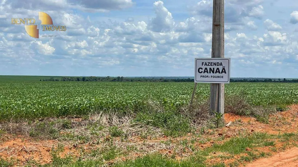 Fazenda à venda de 3.600 ha em Ipiranga do Norte, MT, Brasil
