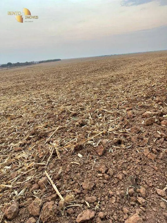 Fazenda à venda de 3.600 ha em Ipiranga do Norte, MT, Brasil