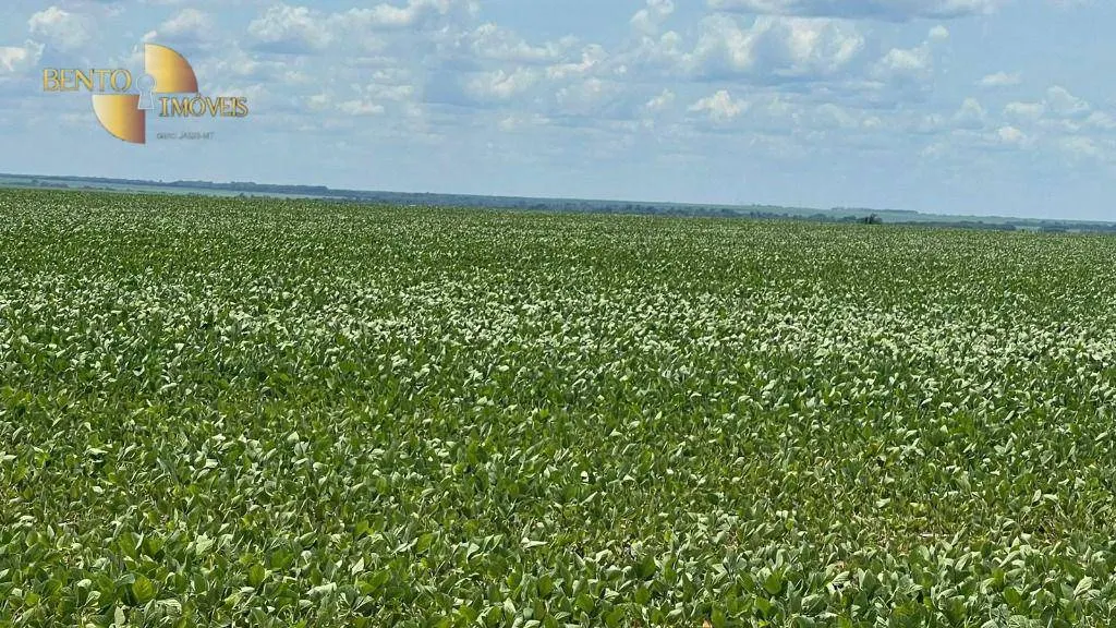 Fazenda à venda de 3.600 ha em Ipiranga do Norte, MT, Brasil