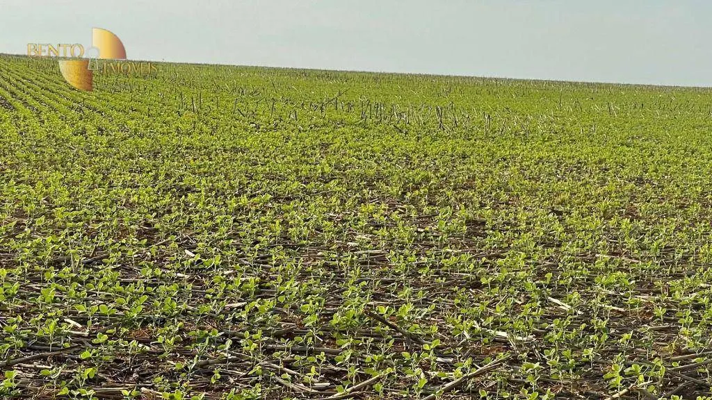 Fazenda à venda de 3.600 ha em Ipiranga do Norte, MT, Brasil