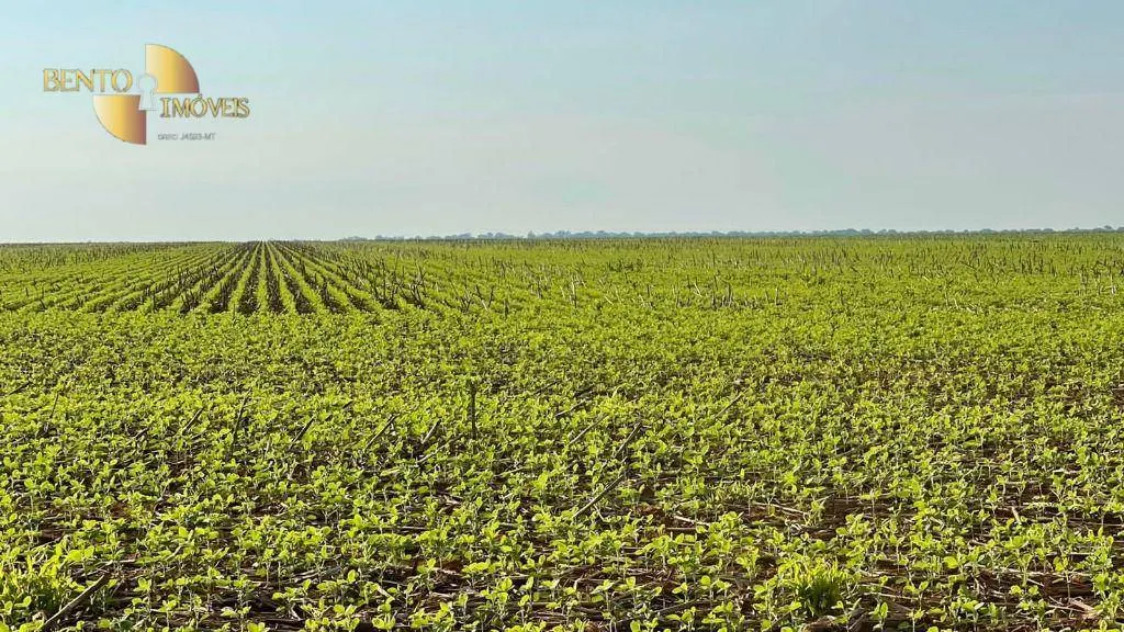 Fazenda à venda de 3.600 ha em Ipiranga do Norte, MT, Brasil