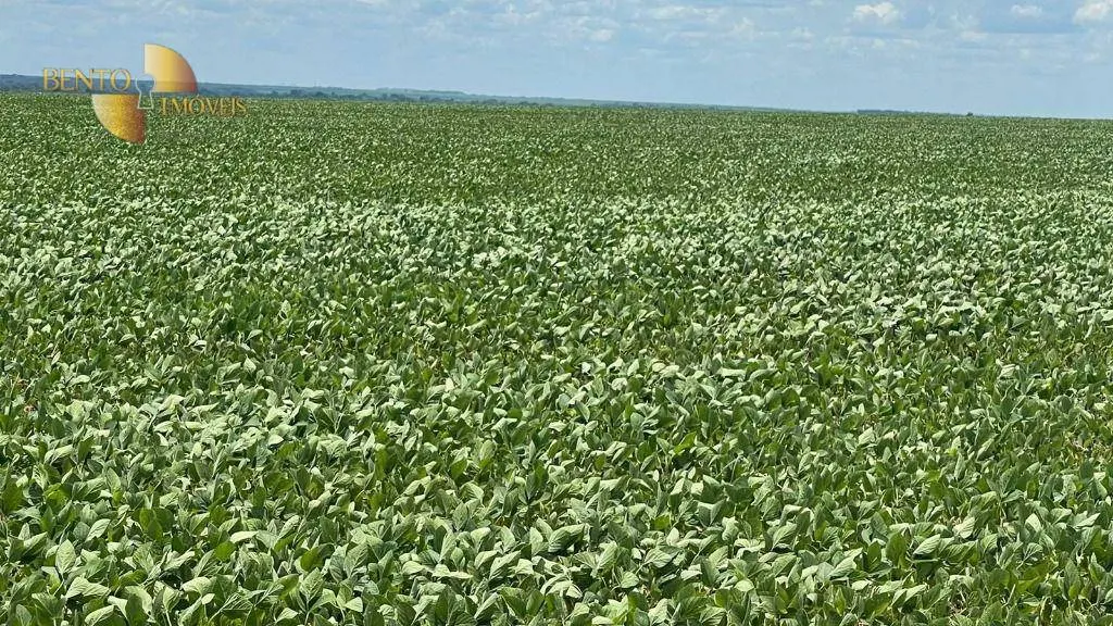 Fazenda à venda de 3.600 ha em Ipiranga do Norte, MT, Brasil
