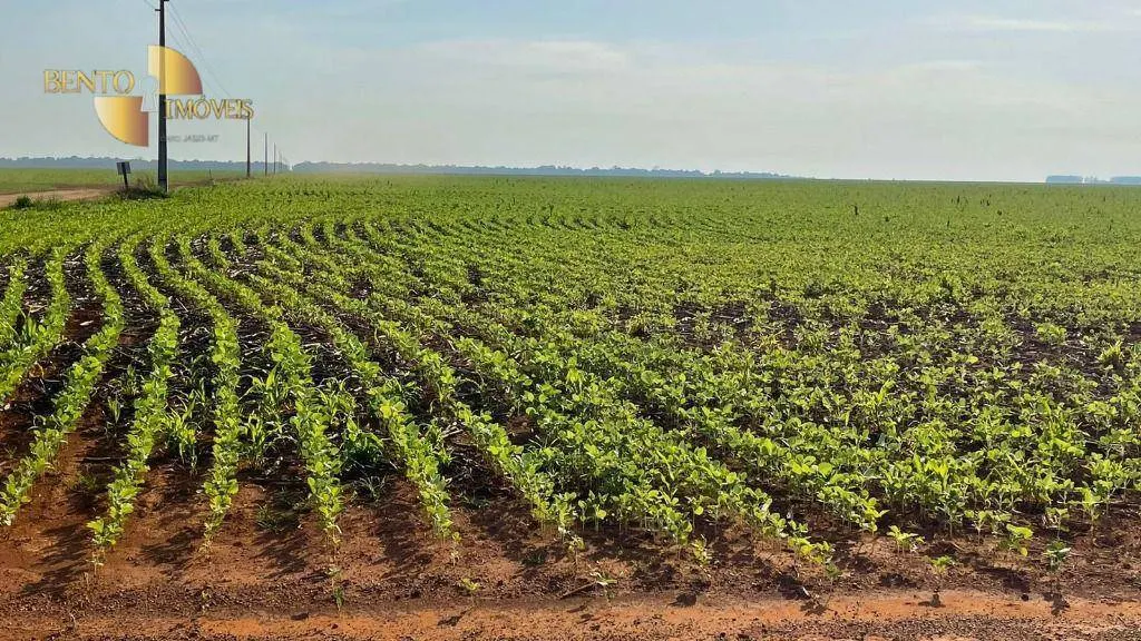 Fazenda à venda de 3.600 ha em Ipiranga do Norte, MT, Brasil