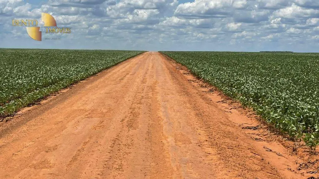 Fazenda à venda de 3.600 ha em Ipiranga do Norte, MT, Brasil