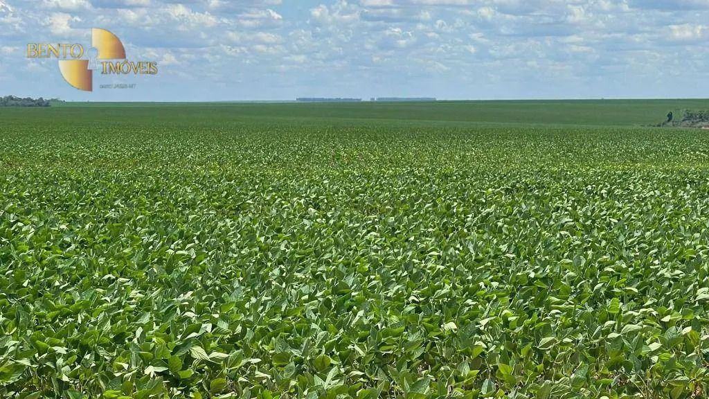 Fazenda à venda de 3.600 ha em Ipiranga do Norte, MT, Brasil