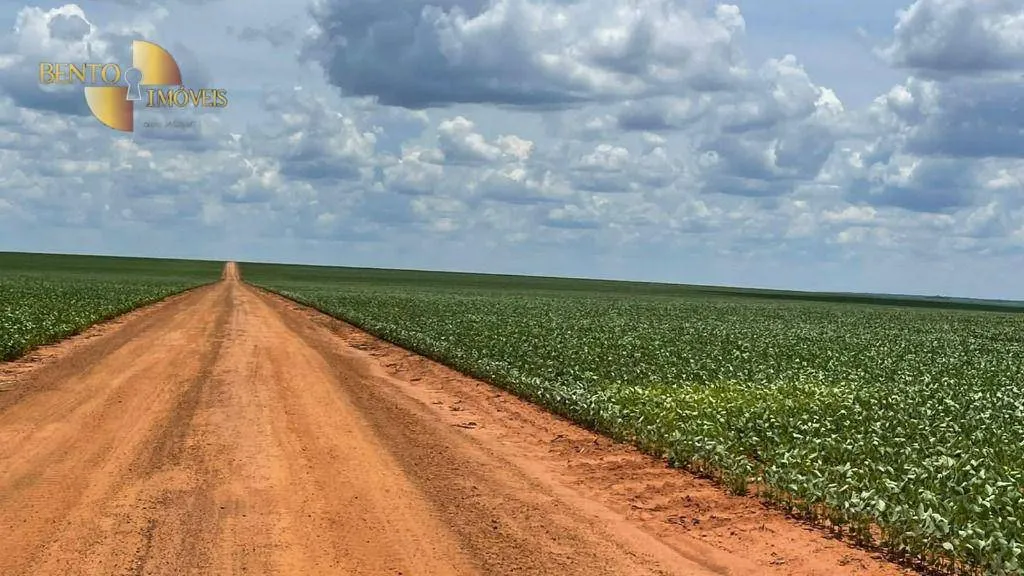 Fazenda à venda de 3.600 ha em Ipiranga do Norte, MT, Brasil