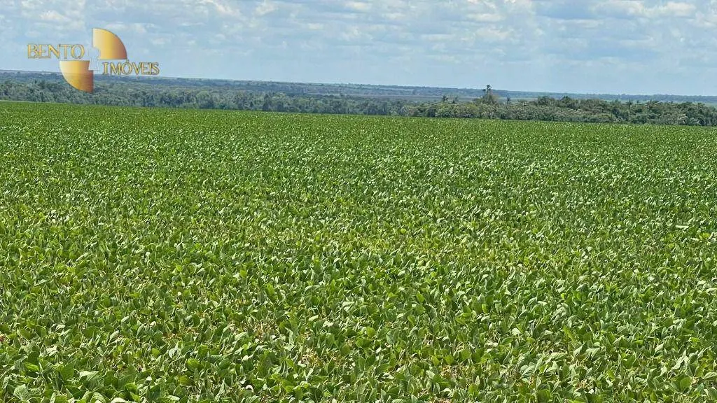 Fazenda à venda de 3.600 ha em Ipiranga do Norte, MT, Brasil