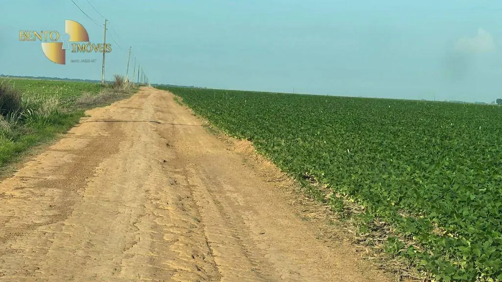 Fazenda à venda de 3.600 ha em Ipiranga do Norte, MT, Brasil