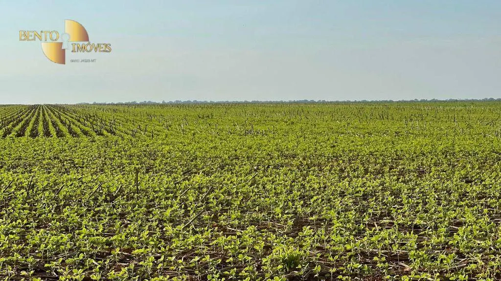 Fazenda à venda de 3.600 ha em Ipiranga do Norte, MT, Brasil