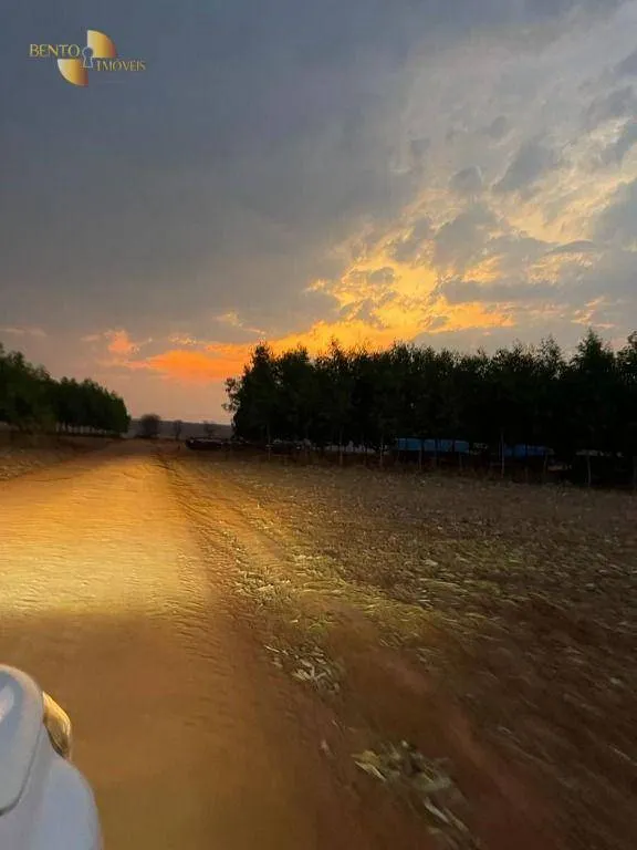 Fazenda à venda de 3.600 ha em Ipiranga do Norte, MT, Brasil