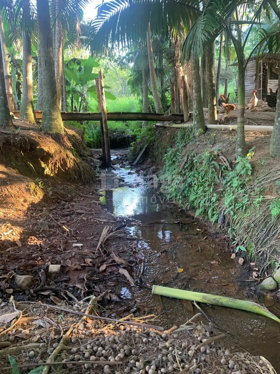 Fazenda à venda de 5.548 m² em Tijucas, SC, Brasil