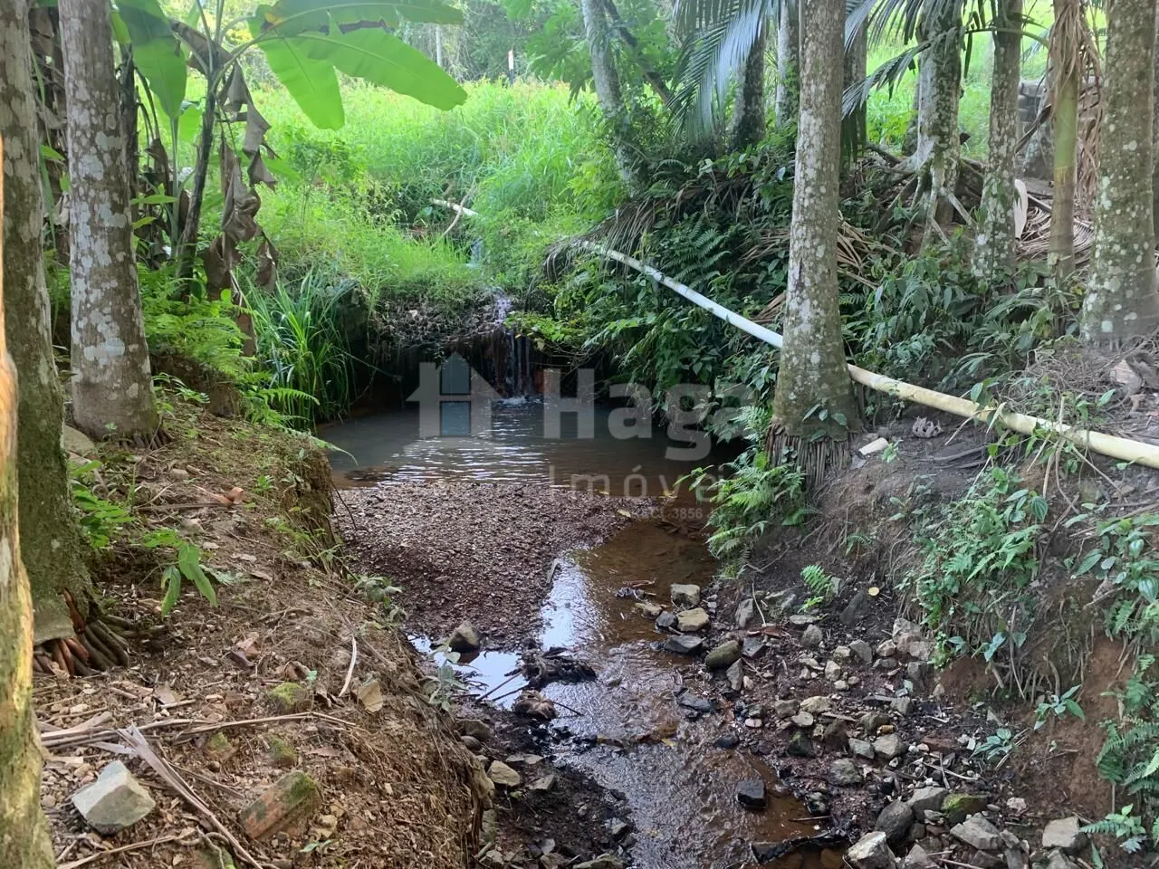 Fazenda à venda de 5.548 m² em Tijucas, SC, Brasil