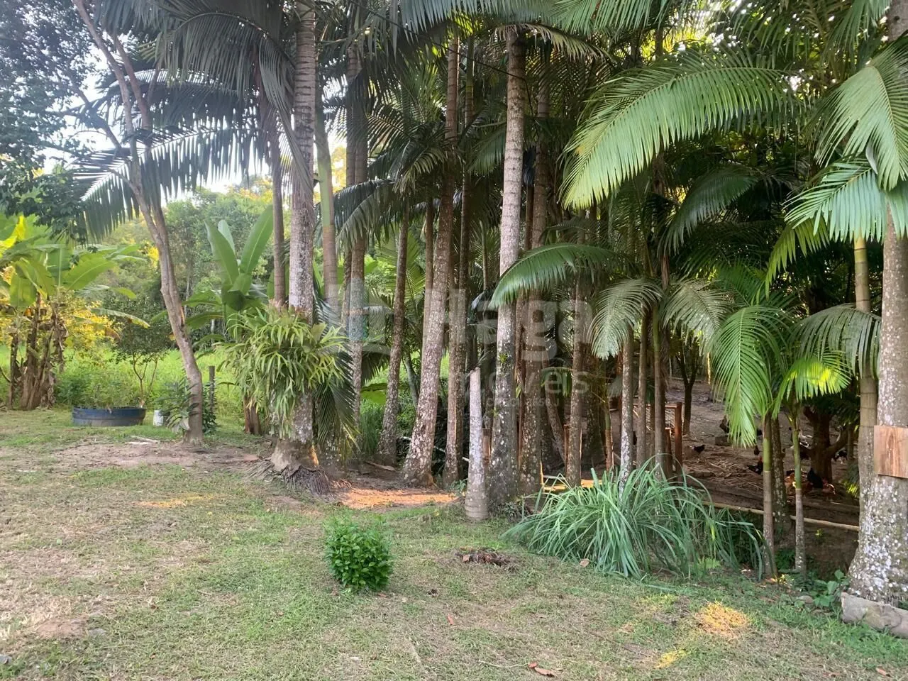 Fazenda à venda de 5.548 m² em Tijucas, SC, Brasil