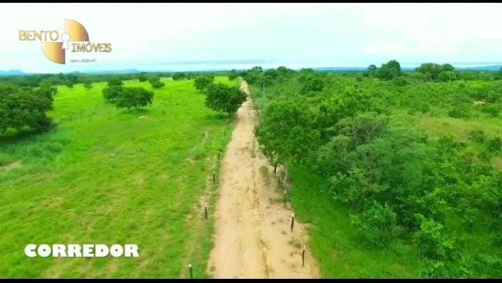 Fazenda à venda de 289 ha em Rosário Oeste, MT, Brasil