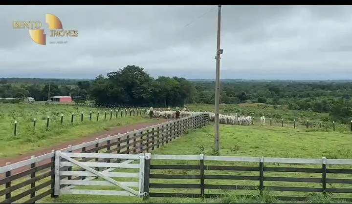 Fazenda à venda de 289 ha em Rosário Oeste, MT, Brasil