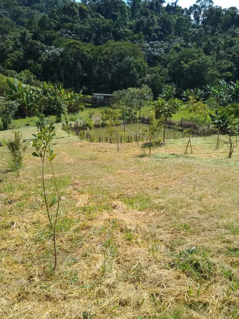 Chácara à venda de 3.000 m² em Monteiro Lobato, SP, Brasil