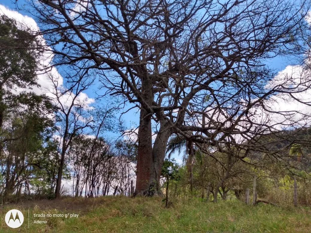 Country home for sale of 7 acres in Bofete, SP, Brazil